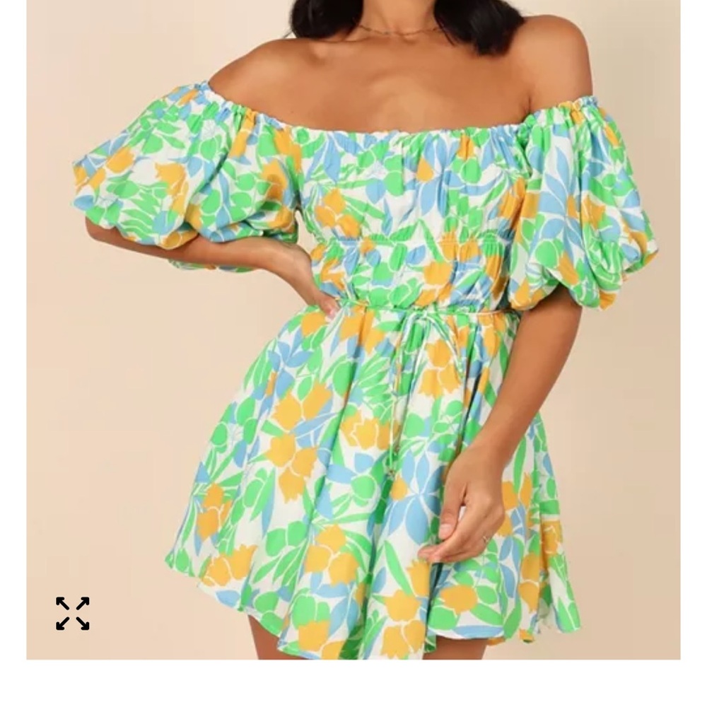 Petal & Pup Charley Mini Dress